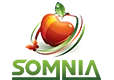 Somnia Logo